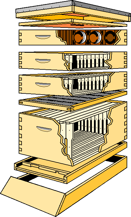 Langstroth hive patent