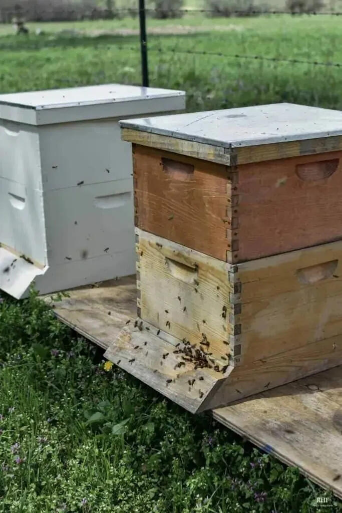 Beekeeping industry