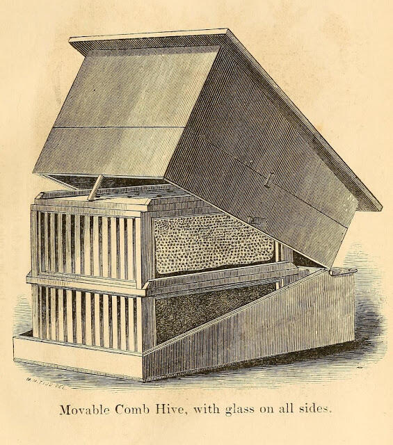 Beekeeping history