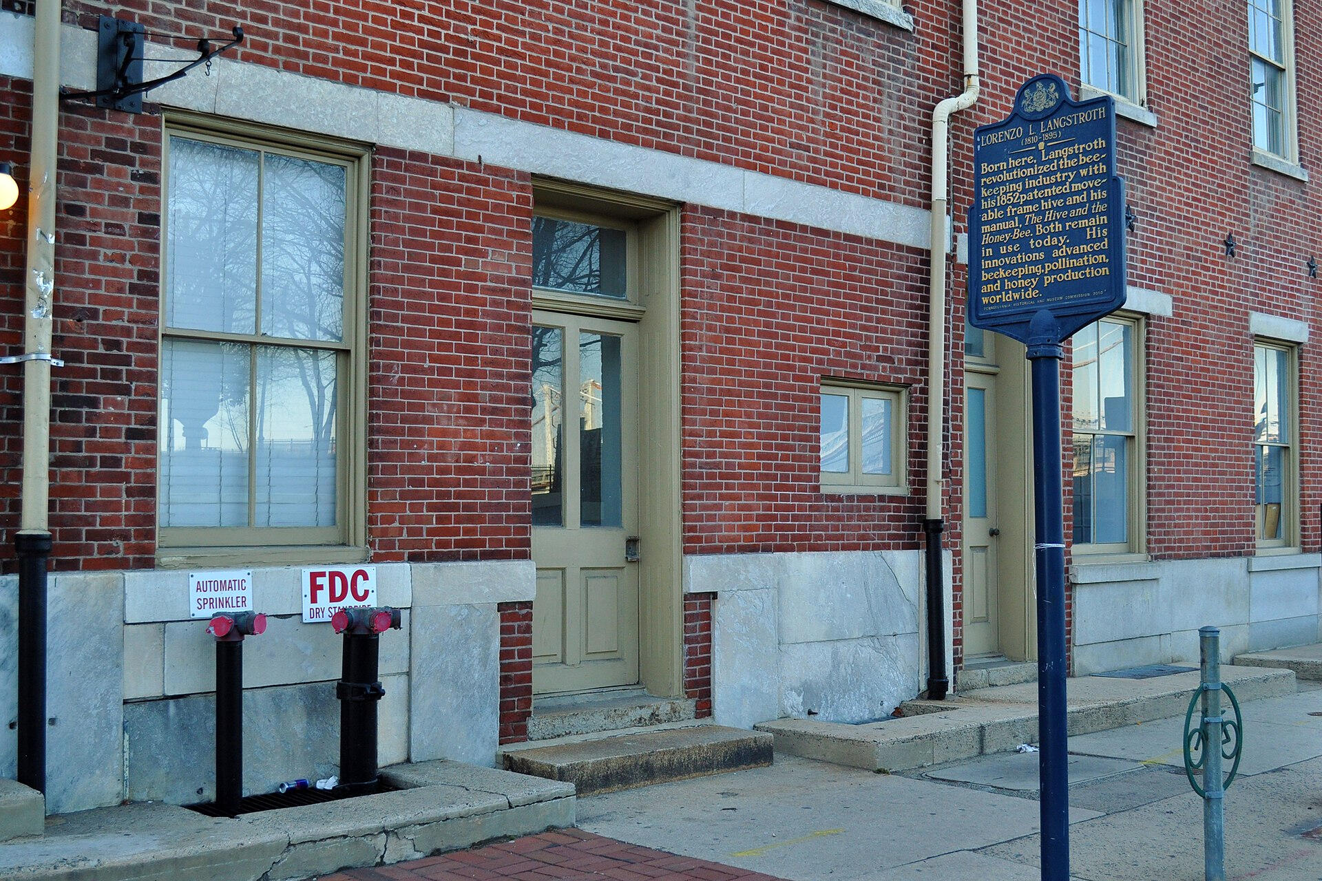 Gallery image
